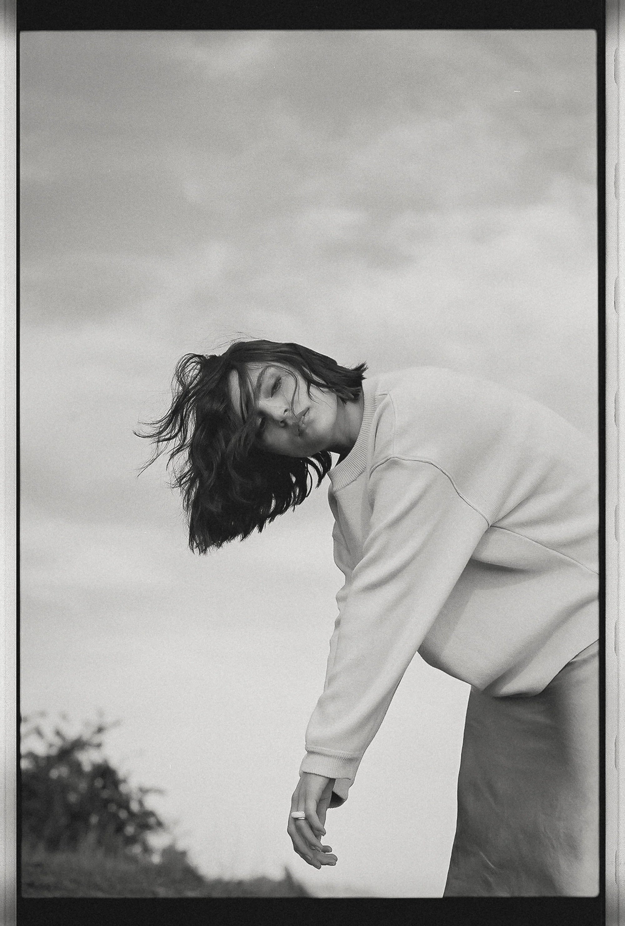 Peruvian Pima Cotton